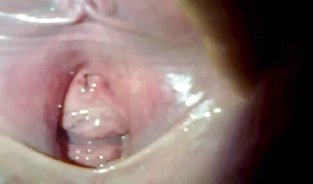 Một gái xinh, với một dương vật, trong khi những vật đánh bóng sex hd nhat ban của mình đít