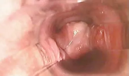 Nữ diễn viên khiêu dâm Ivy Lebelle với một đẹp lớn vui lòng cho chúng với một nóng và phim sex nhat ban o che ngon DP